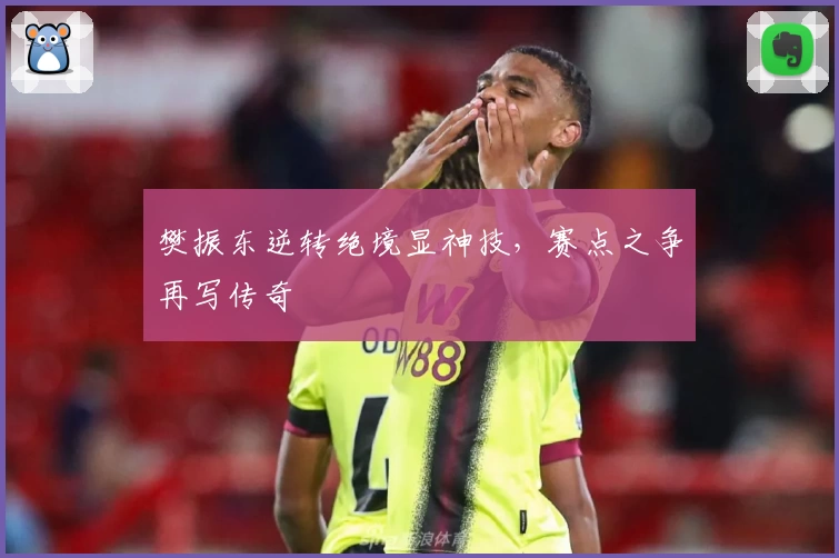 樊振东逆转绝境显神技,赛点之争再写传奇